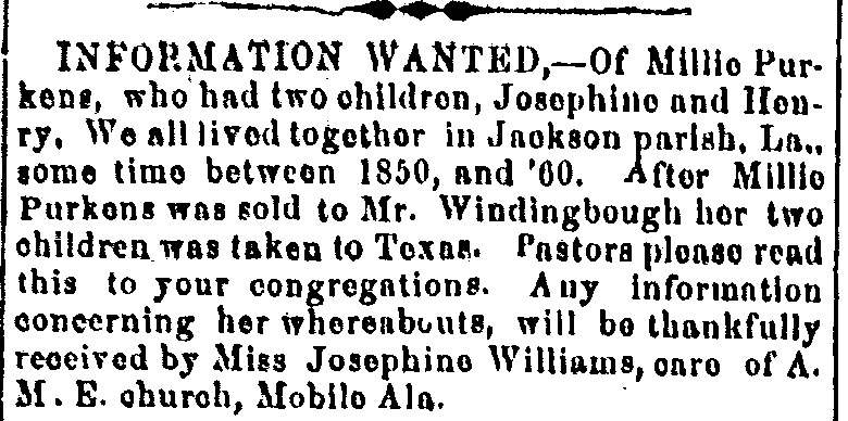 Josephine Williams looking for her mother Millie Purkens 