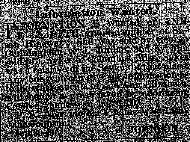 C. J. Johnson searching for Ann Elizabeth (2nd of 2 ads)