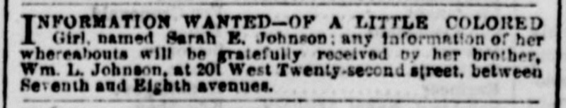 William L. Johnson searching for his sister, Sarah E. Johnson 