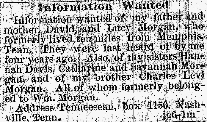 An unnamed person searching for his parents David and Lucy Morgan and siblings