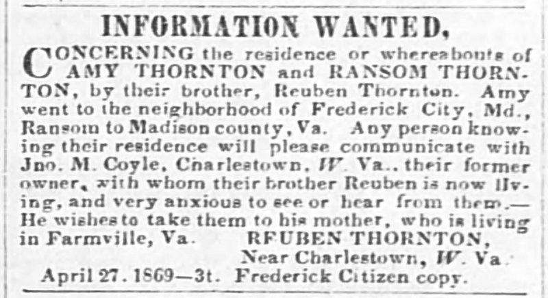 Reuben Thornton searching for his sister Amy Thornton and brother Ransom Thornton