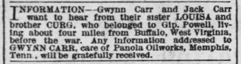 Gwynn Carr and Jack Carr searching for sister Louisa and brother Curg