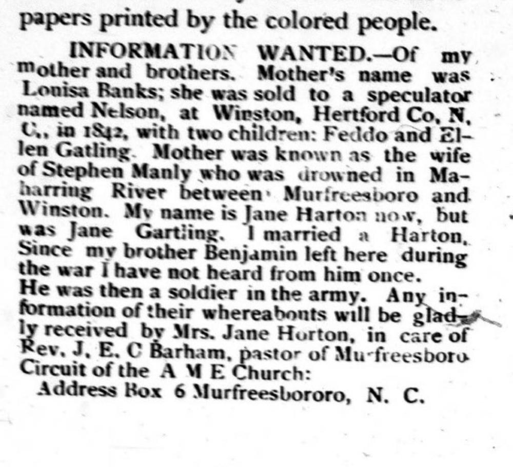 Jane Horton searching for mother Louisa Banks