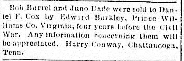 Harry Conway seeking Bob Burrel and Juno Dade