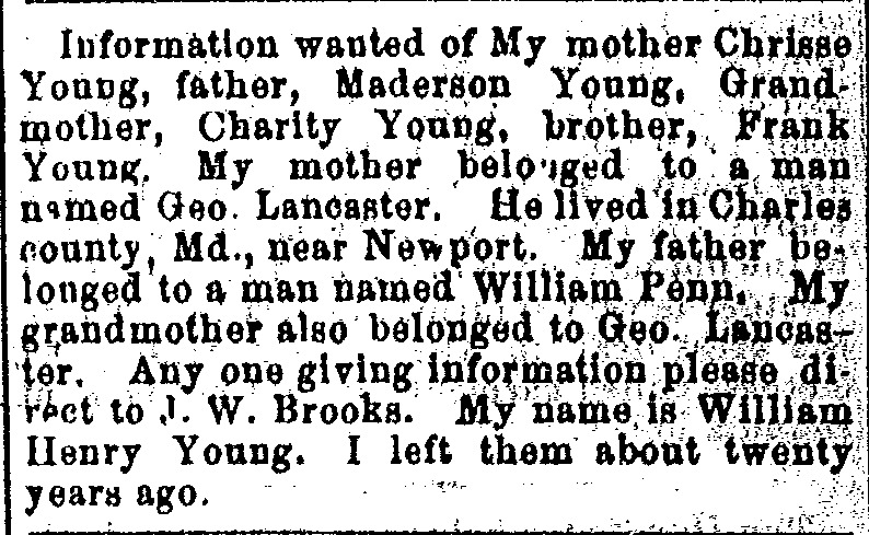 William Henry Young searching for his parents Chrisse and Maderson Young, his brother Frank Young, and grandmother Charity Young