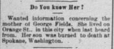 Unknown looking for the mother of George Fields