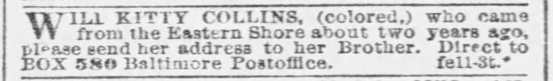 Unnamed man searching for his sister Kitty Collins