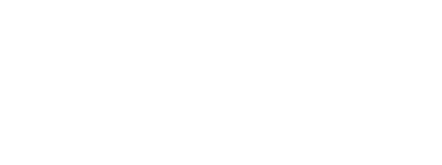 The Shretter Emerging Faculty Scholars Endowed Fund